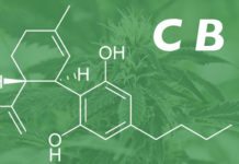 cbd vaping guide